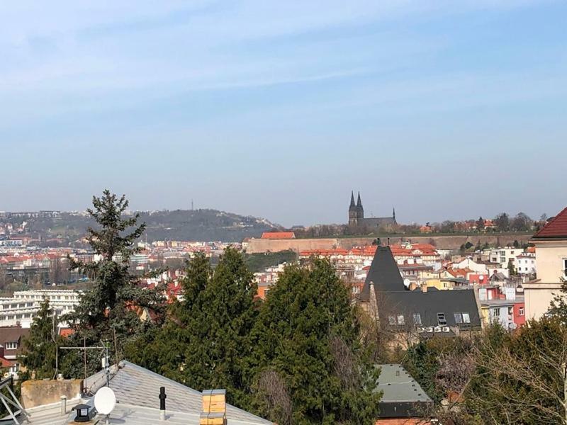 Séjour chez l'habitant In Prague-big+comfy Prague